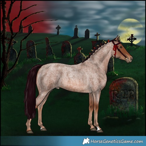 Horse Color:Red Roan