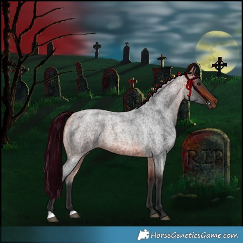 Horse Color:Bay Roan 