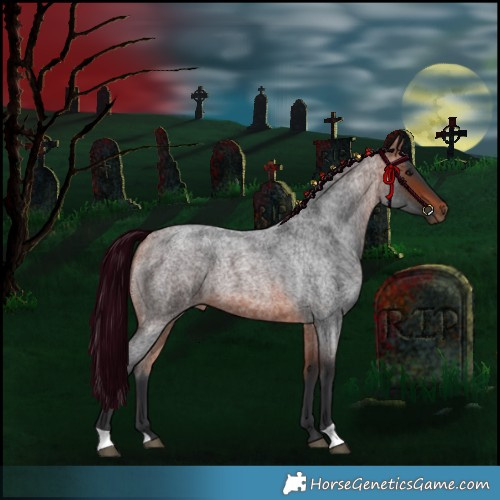 Horse Color:Bay Roan 