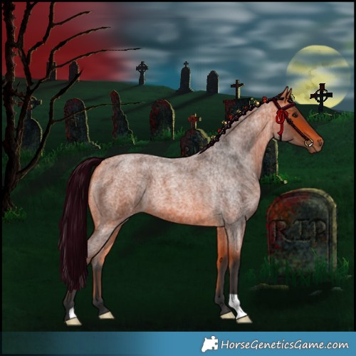 Horse Color:Bay Roan 