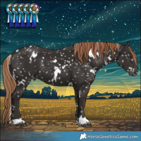 Horse Color:White Spotted Liver Chestnut Snowflake Varnish 
