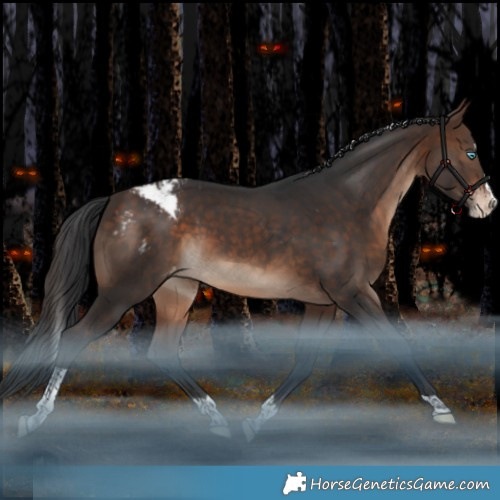 Horse Color:White Spotted Bay Splash Tobiano Appaloosa Rabicano 