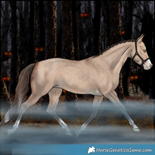 Horse Color:White Spotted Amber Champagne Dun Splash Tobiano Rabicano 