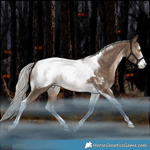 Horse Color:White Spotted Silver Bay Dun Tobiano Appaloosa 