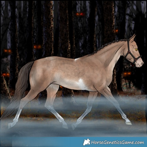 Horse Color:White Spotted Sable Champagne Tobiano