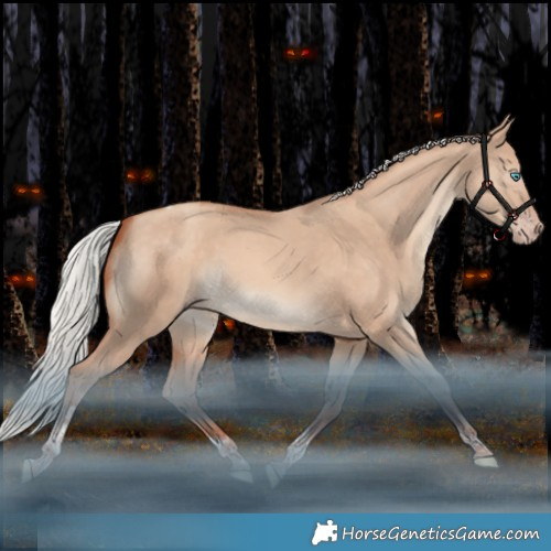 Horse Color:Silver Sable Champagne Dun Tobiano Rabicano