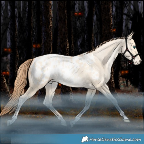 Horse Color:Sable Champagne Snowdrop Pearl Dun Tobiano Appaloosa Rabicano 