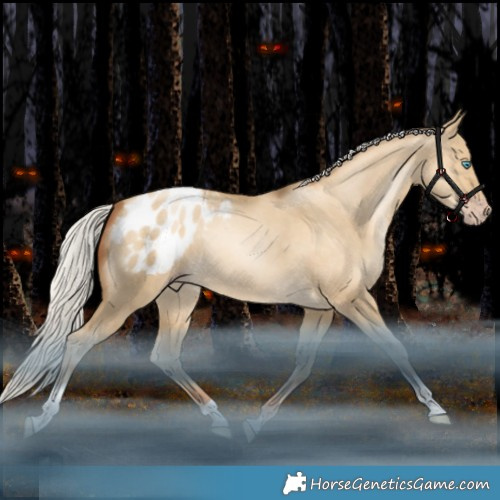 Horse Color:Gray White Spotted Silver Sable Champagne Snowdrop Pearl Dun Tobiano Appaloosa 