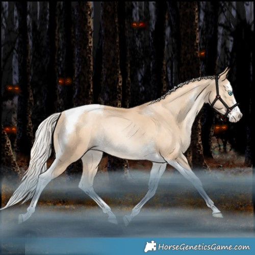 Horse Color:Gold Champagne Snowdrop Splash Tobiano Rabicano 