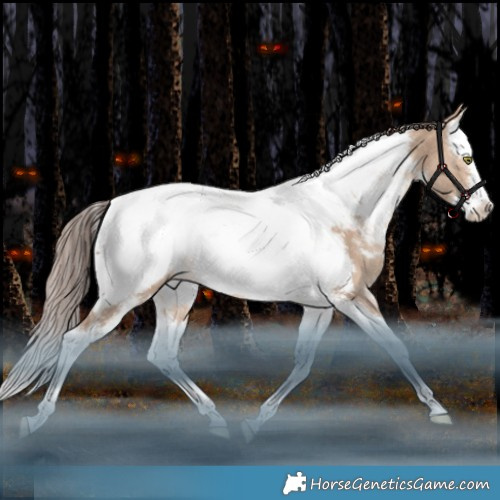 Horse Color:White Spotted Amber Champagne Dun Splash Tobiano Appaloosa Rabicano 