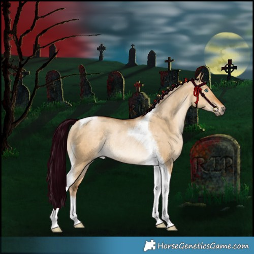 Horse Color:Gray Liver Red Dun Snowdrop Pearl Tobiano Appaloosa Rabicano 