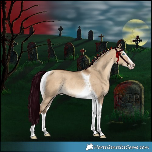 Horse Color:Gray Silver Sable Champagne Dun Splash Tobiano Appaloosa Rabicano 
