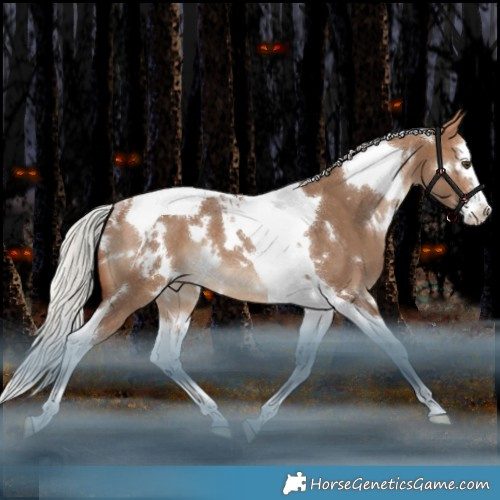 Horse Color:White Spotted Silver Bay Dun Splash Tobiano Appaloosa Rabicano 