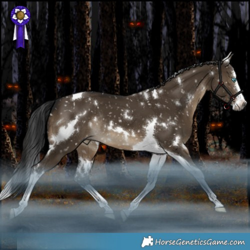 Horse Color:Gray White Spotted Brown Dun Splash Tobiano Appaloosa Rabicano 