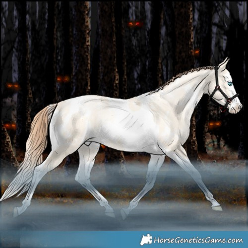Horse Color:White Spotted Amber Champagne Snowdrop Pearl Dun Splash Tobiano Rabicano 