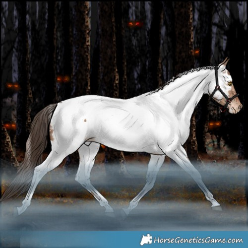Horse Color:White Spotted Liver Red Dun Tobiano Appaloosa Rabicano