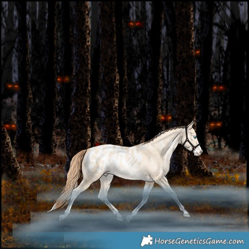 Horse Color:White Spotted Classic Champagne Snowdrop Pearl Splash Tobiano Appaloosa Rabicano