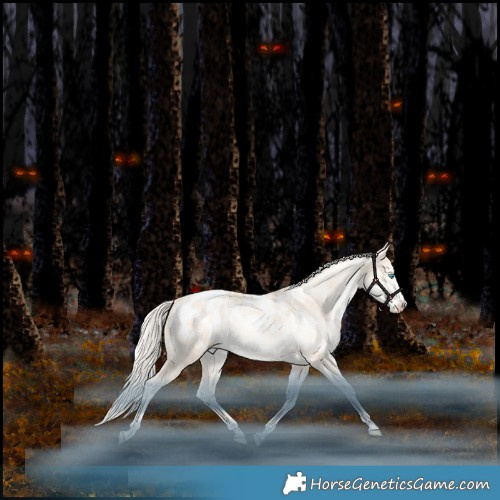 Horse Color:White Spotted Gold Champagne Snowdrop Pearl Dun Mushroom Splash Tobiano Appaloosa Rabicano 