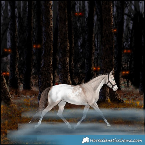 Horse Color:Sable Champagne Dun Mushroom Splash Tobiano Snowcap Rabicano