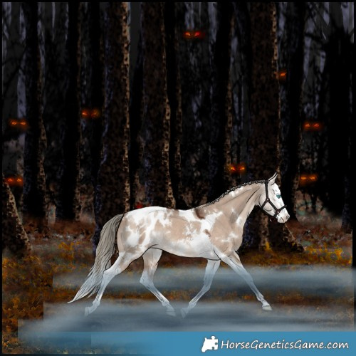Horse Color:White Spotted Liver Red Dun Mushroom Splash Tobiano Blanket Rabicano 
