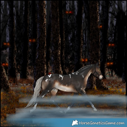 Horse Color:Gray White Spotted Silver Bay Mushroom Tobiano Rabicano 