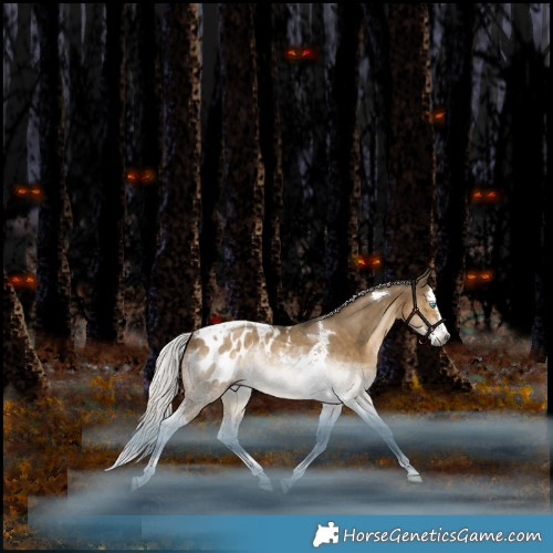 Horse Color:Gray Silver Black Snowdrop Pearl Mushroom Splash Tobiano Appaloosa Rabicano