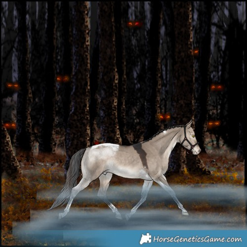 Horse Color:Brown Dun Tobiano Appaloosa Rabicano 