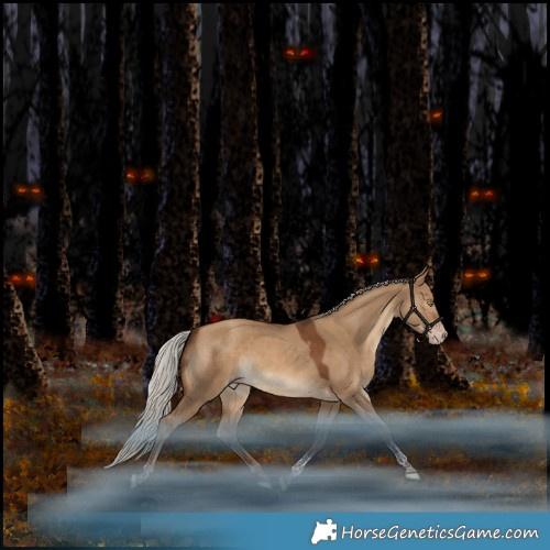 Horse Color:Gray Silver Amber Champagne Dun Tobiano Rabicano