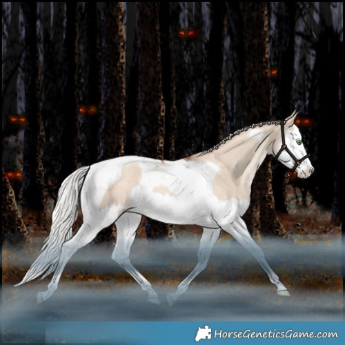 Horse Color:Silver Sable Champagne Dun Splash Tobiano Rabicano 