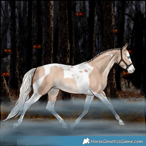 Horse Color:Silver Sable Champagne Dun Splash Tobiano Rabicano