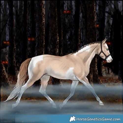 Horse Color:Gold Champagne Dun Splash Tobiano Rabicano 