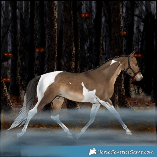 Horse Color:Gray Bay Dun Tobiano