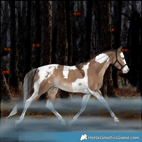 Horse Color:Liver Red Dun Splash Tobiano Appaloosa Rabicano 