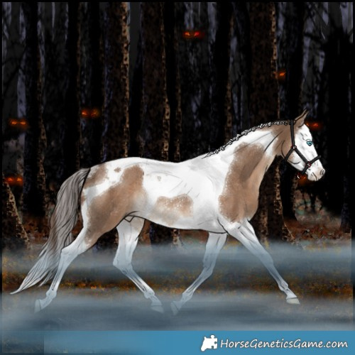 Horse Color:Liver Red Dun Splash Tobiano Rabicano