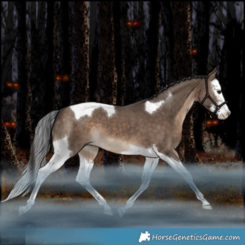 Horse Color:Bay Dun Splash Tobiano 
