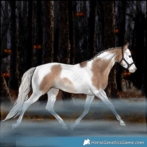 Horse Color:Silver Bay Dun Splash Tobiano Rabicano