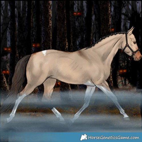 Horse Color:Bay Dun Tobiano Rabicano 