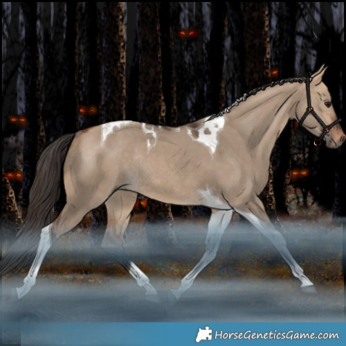 Horse Color:Bay Dun Tobiano Rabicano 