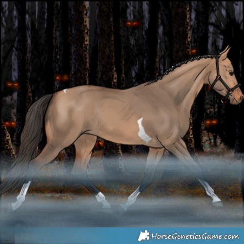 Horse Color:Bay Dun Tobiano Rabicano