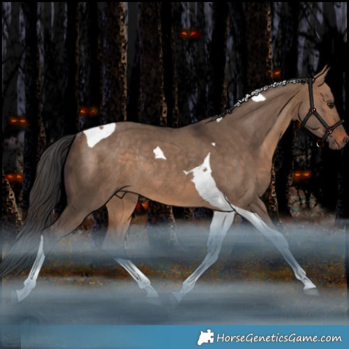 Horse Color:Bay Dun Tobiano Rabicano 