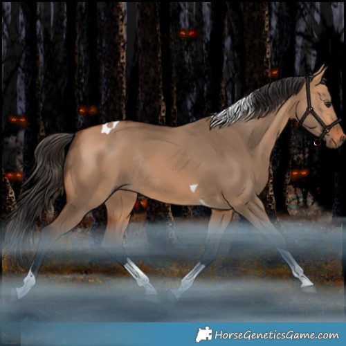 Horse Color:Bay Dun Tobiano Rabicano