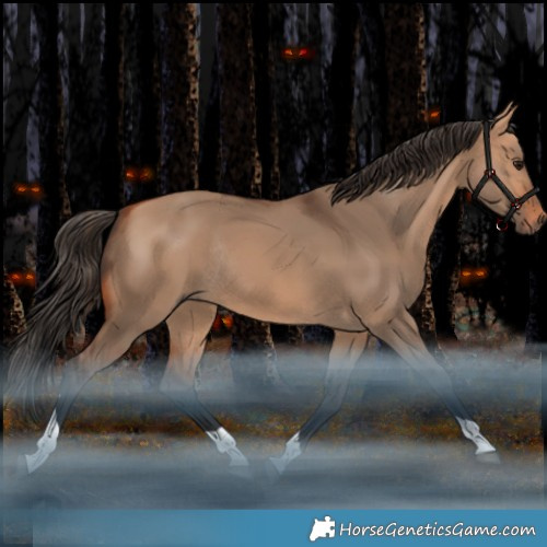 Horse Color:Bay Dun Tobiano Rabicano