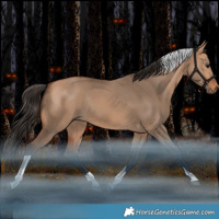Horse Color:Bay Dun Tobiano Rabicano