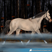Horse Color:Bay Dun Tobiano Rabicano 