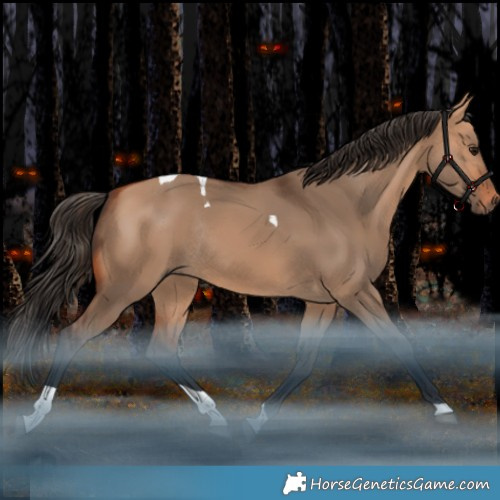 Horse Color:Bay Dun Tobiano Rabicano