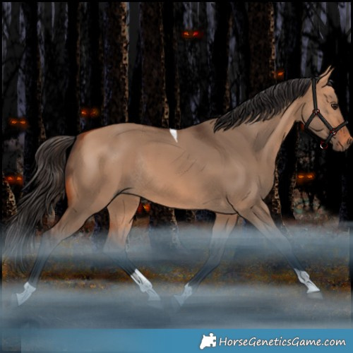 Horse Color:Bay Dun Tobiano Rabicano