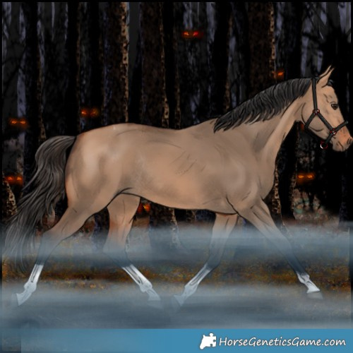 Horse Color:Bay Dun Tobiano Rabicano