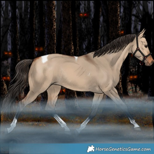 Horse Color:Bay Dun Tobiano Rabicano