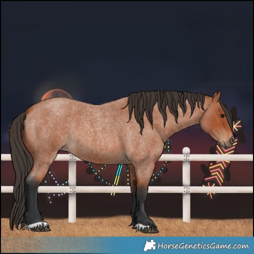Horse Color:Bay Roan