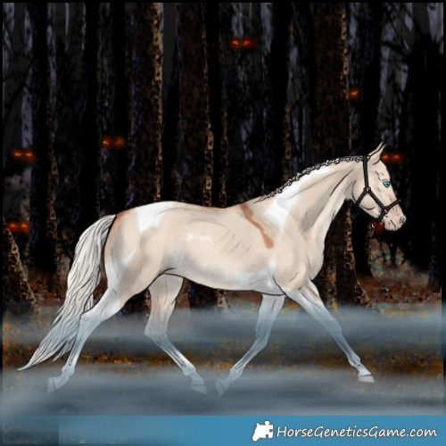 Horse Color:Silver Amber Champagne Dun Tobiano 